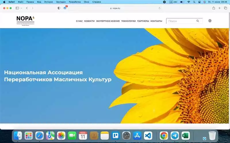 Выбор студии разработки сайтов в Алматы